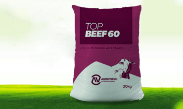 BEEF 60 F